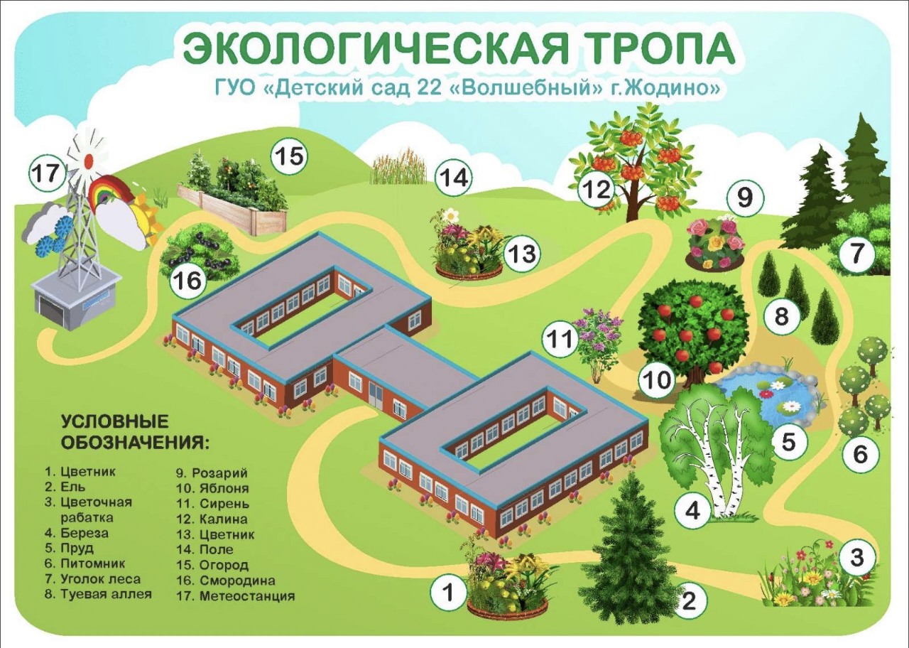 Схема экологической тропы - Государственное учреждение образования 